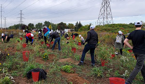 The Meadoway Cleanup September 2019