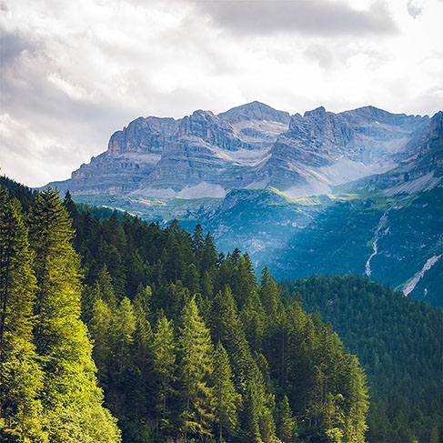 Scenic view of mountains with lake and green fir trees in the foreground